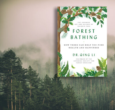 Forest Bathing